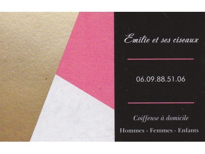 Illustration du partenaire EMILIE