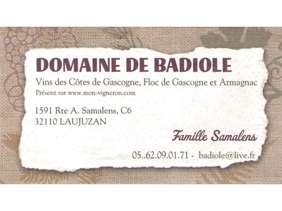 Illustration du partenaire DOMAINE BADIOLE SAMALENS